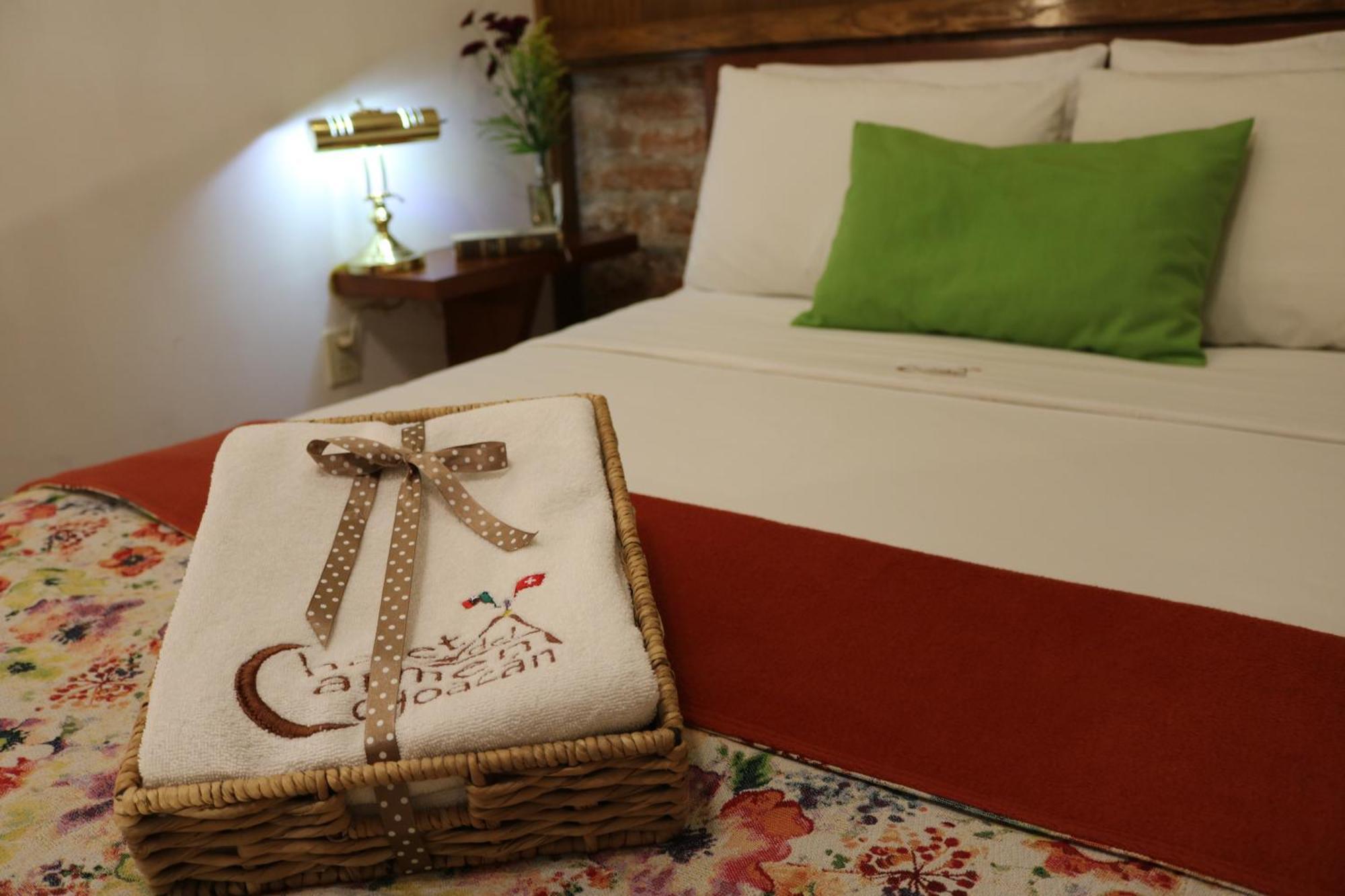Chalet Del Carmen, Coyoacan Μεξικό Εξωτερικό φωτογραφία