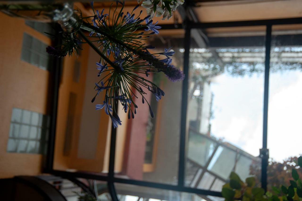 Chalet Del Carmen, Coyoacan Μεξικό Εξωτερικό φωτογραφία