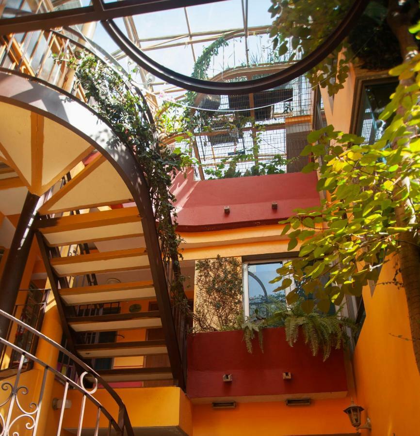 Chalet Del Carmen, Coyoacan Μεξικό Εξωτερικό φωτογραφία